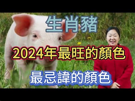 豬的幸運色|2024豬年開運色速查